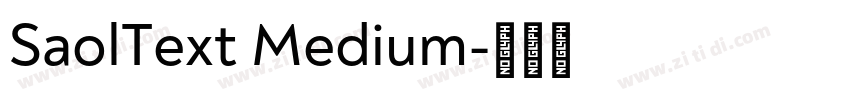 SaolText Medium字体转换